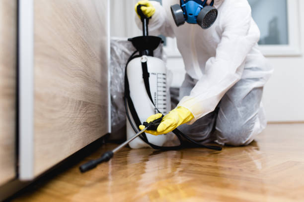 Best Pest Inspection Near Me  in Frazee, MN