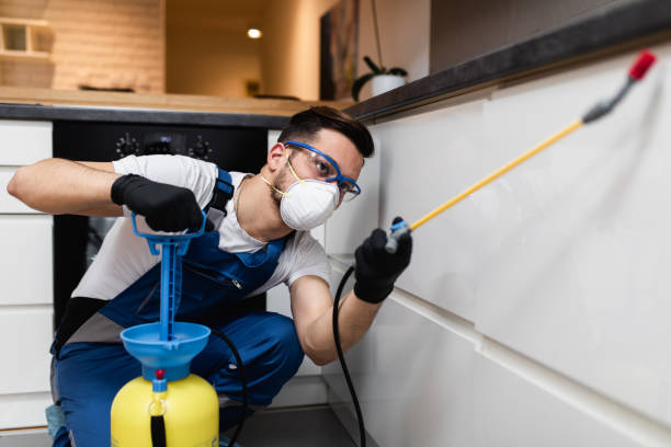 Wasp Removal Services in Frazee, MN