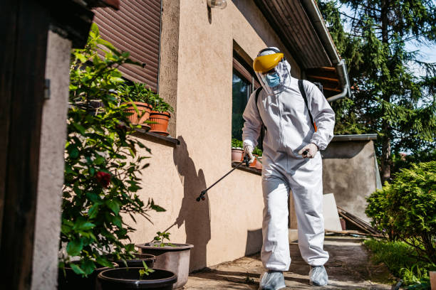 Best Local Pest Control Services  in Frazee, MN