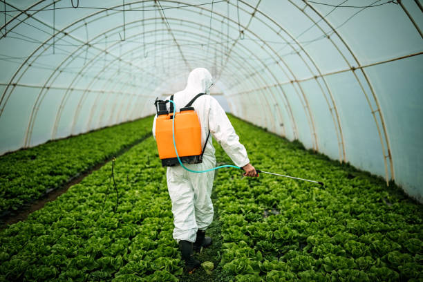 Best Pest Removal Services  in Frazee, MN