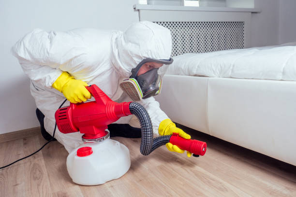 Best Pest Removal Services  in Frazee, MN