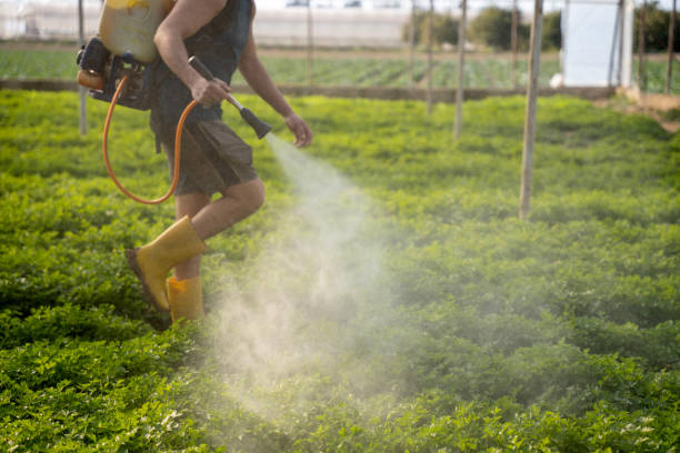 Best Best Pest Control Companies  in Frazee, MN
