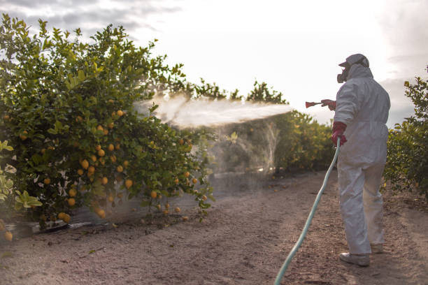 Best Pest Inspection Near Me  in Frazee, MN