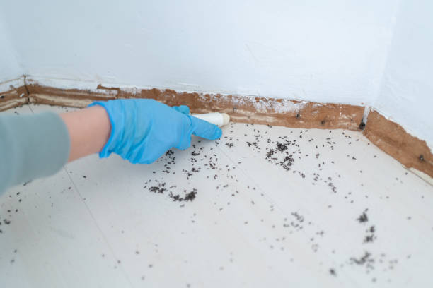 Best Wildlife Control Services  in Frazee, MN