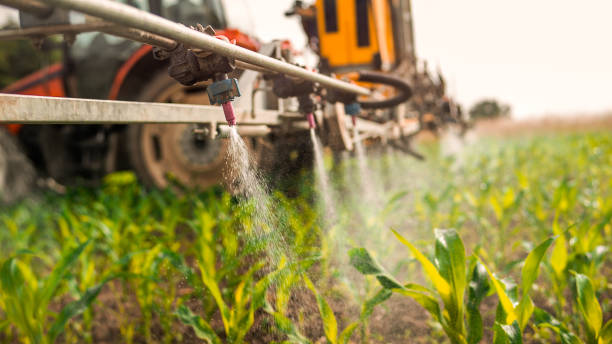 Reliable Frazee, MN Pest Control Solutions